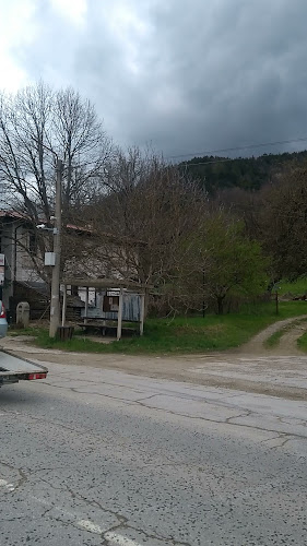 Comentarii opinii despre Правешки ханове