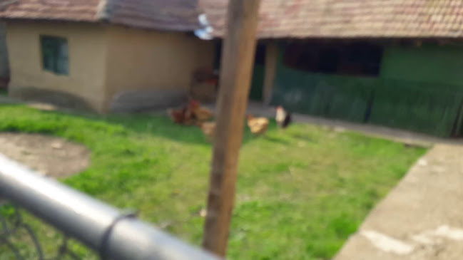 ул. Симеон Папазов 3, 7600 Тутракан