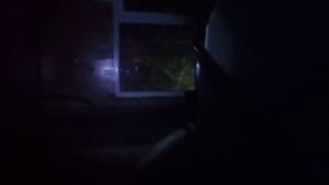 Бистро-градина Търтей - София