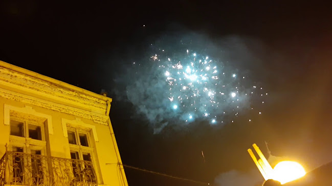 Център, ул. „Дунавска" 23, 3600 Лом