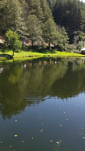 Comentarii opinii despre Рила фиш