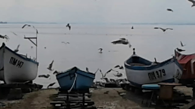 Opinii despre Морски Дар în Поморие - Гастрономия и хотелиерство