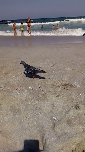 Restaurant "LOTOS" - Созопол