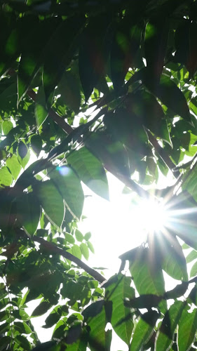 Opinii despre Бохо în София - Гастрономия и хотелиерство