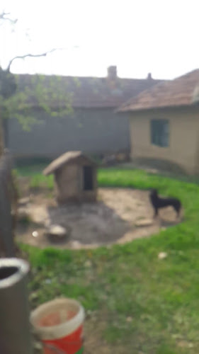 ХОТЕЛ- РЕСТОРАНТ ПАЛЕРМО - Гастрономия и хотелиерство