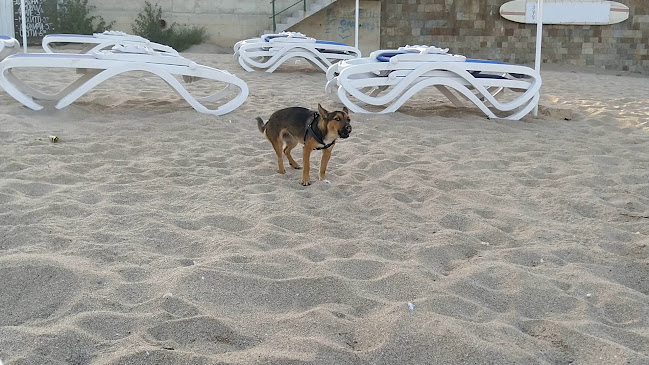 Opinii despre Restaurant "LOTOS" în Созопол - Гастрономия и хотелиерство