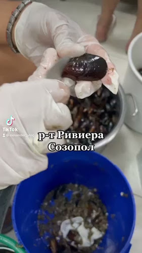 Ресторант Ривиера Созопол/ Restaurant Riviera Sozopol - Гастрономия и хотелиерство