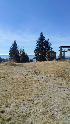 Чайна Мургавец