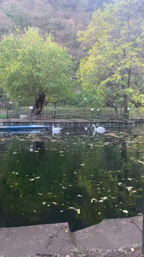 Чайка ресторант - Враца