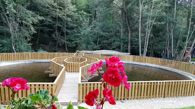 Opinii despre Райски кът "Християна" în Белица - Гастрономия и хотелиерство