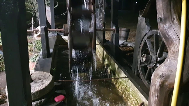 Opinii despre Ресторант „Воденицата“ în Бургас - Гастрономия и хотелиерство