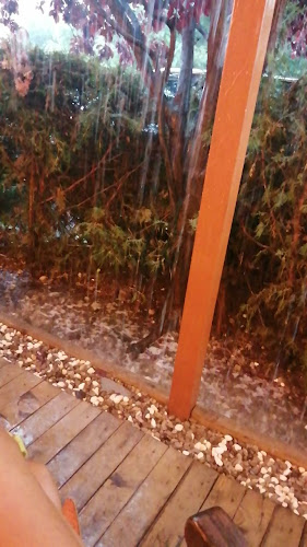 Opinii despre Анкона în София - Гастрономия и хотелиерство