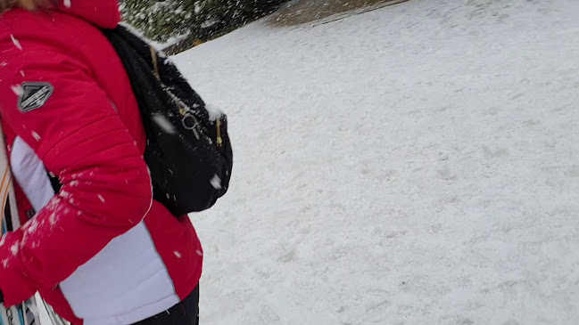 Ethno Restaurant - Гастрономия и хотелиерство