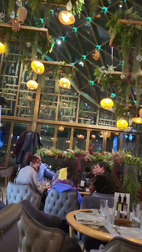 Comentarii opinii despre Plate Bar & Restaurant