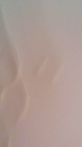 Comentarii opinii despre Централ Монтана