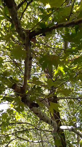 Ресторант "Рай"