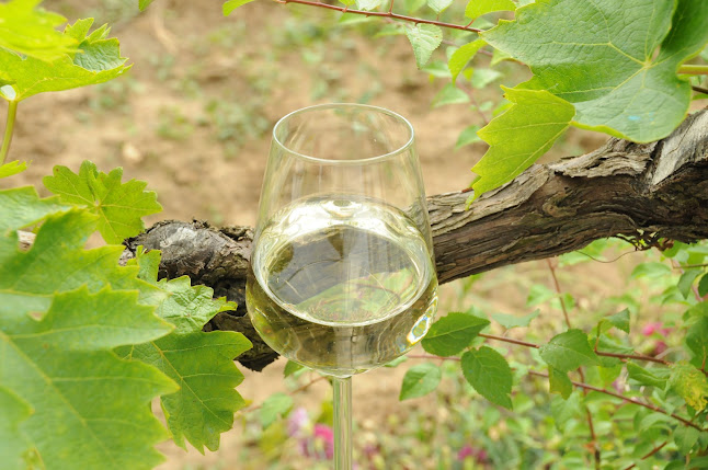 Благоевград Център, ул. „Васил Мечкуевски“, 2700 Благоевград