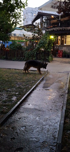 Comentarii opinii despre Механа Дървеното