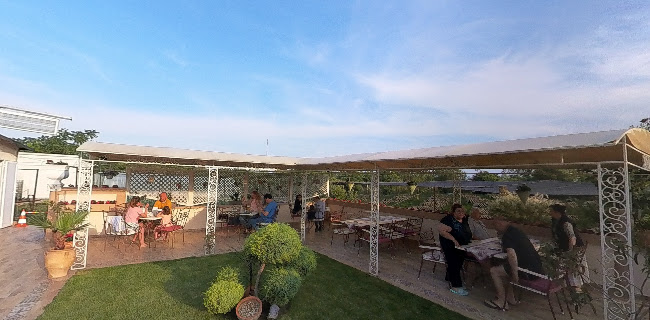 Морско конче