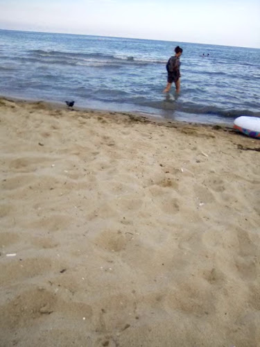 Comentarii opinii despre La Cubanita En El Mar Sveti Vlas