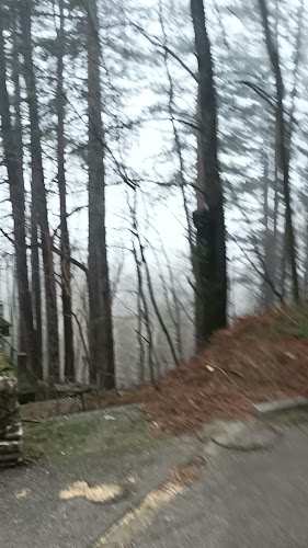 Белите Брези, 6787 Ардино