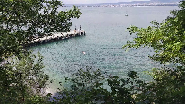 Opinii despre Ресторант "Романтика" în Варна - Гастрономия и хотелиерство