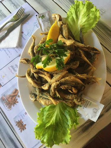 Център, ул. „Александровска“ 63, 3500 Берковица