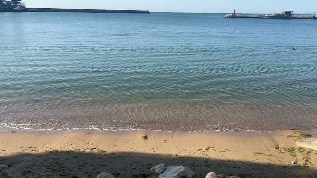 Фермерски пазар Балчик