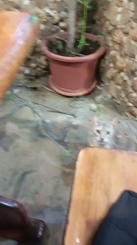 Opinii despre BBQ MANZ în Поморие - Гастрономия и хотелиерство