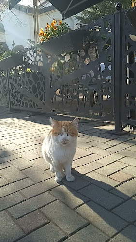 Ресторант VIGO - Пазарджик - Гастрономия и хотелиерство