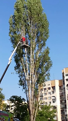 пазар „Росица“