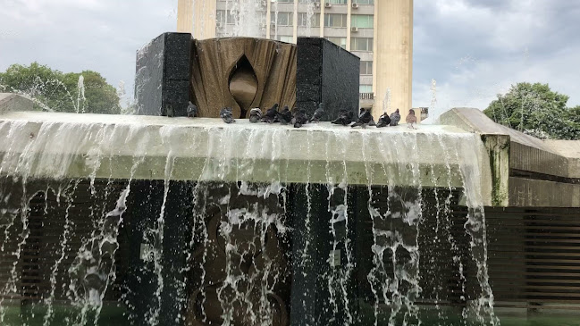 Добрич Център, пл. „Демокрация“, 9300 Добрич