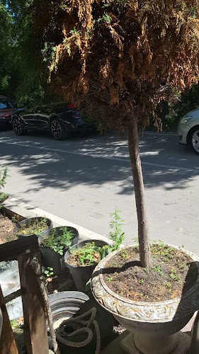 Тераса "Тузлата"