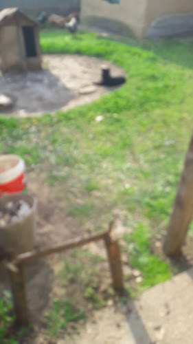 Opinii despre ХОТЕЛ- РЕСТОРАНТ ПАЛЕРМО în Тутракан - Гастрономия и хотелиерство