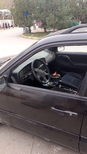 Зеленчукова Борса Огняново