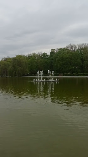 Комплекс „Лебед“