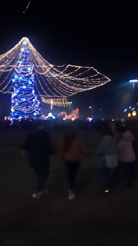 Comentarii opinii despre Bellezza cafe bar