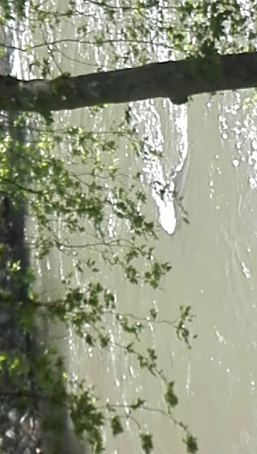 Comentarii opinii despre Старо Кресненско ханче