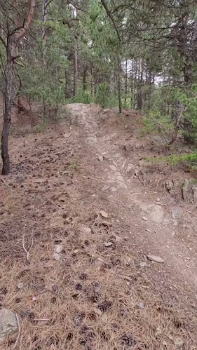 бул.Х.Н.Палавеев 76 автогара, 2077 Копривщица