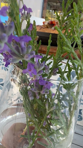 Comentarii opinii despre Аморе Пицария-ресторант