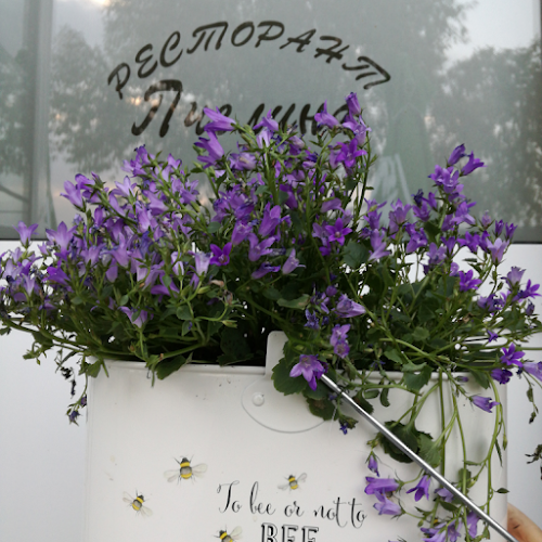 Comentarii opinii despre Пчелина