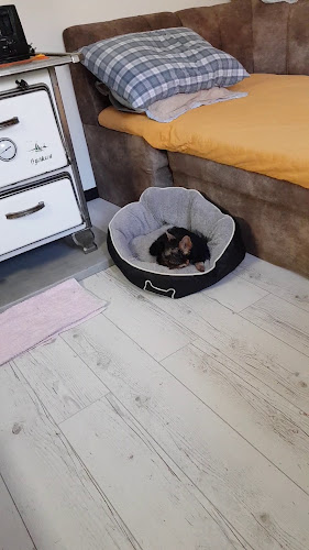 Comentarii opinii despre Каравана Парк