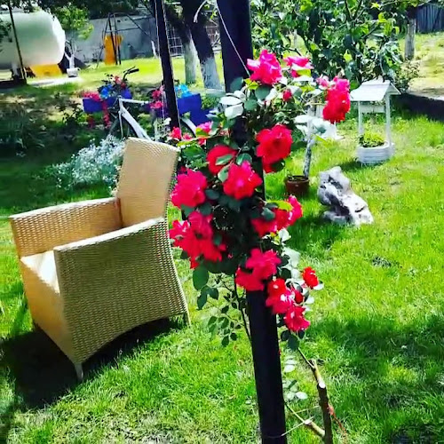 Кафе-автомивка “Мелкар” - Кочериново