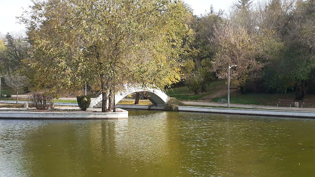 Свети Георги Градски Парк, Комплекс Лебед, 9300 Добрич