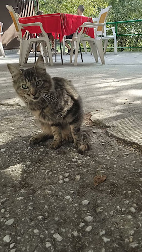 Пивница Баба и Дядо