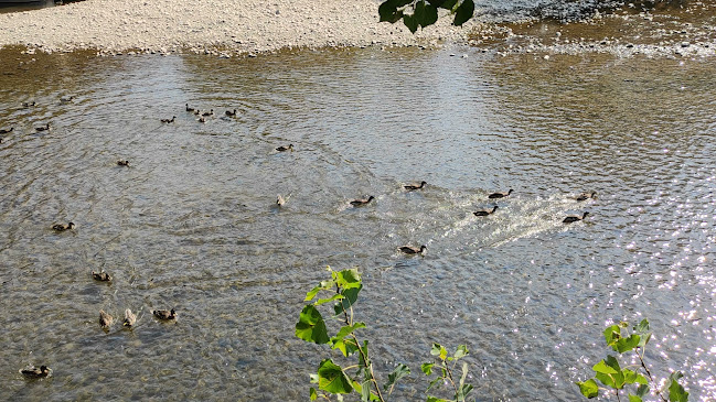 Ресторант Струма