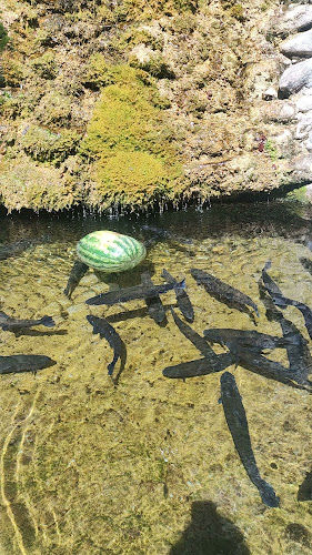 Механа Орела - Гастрономия и хотелиерство