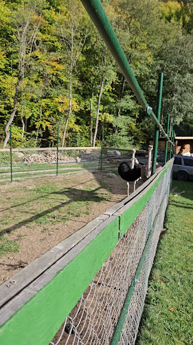 Райски кът "Християна" - Белица