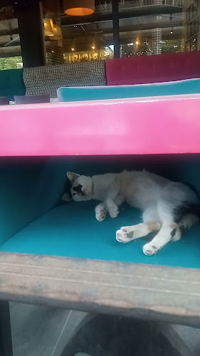 Opinii despre Дюнер бързо хранене-кв.Българка 67 în Сливен - Гастрономия и хотелиерство