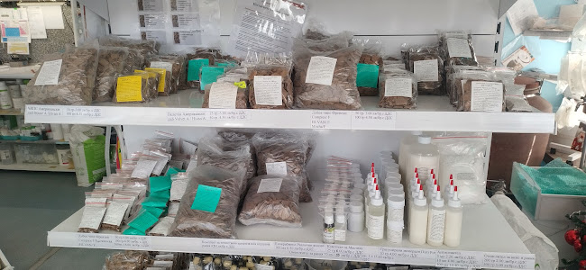 ДИОНИС-ЕЛЕНА - Русе